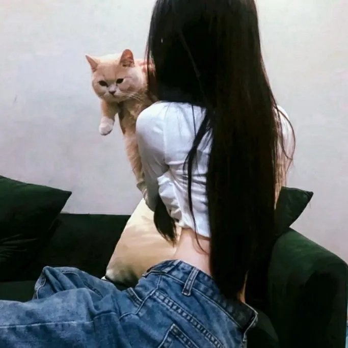 寻凶 在线观看